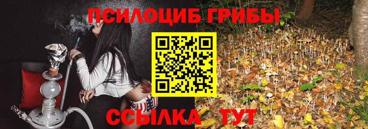 Псилоцибиновые грибы GOLDEN TEACHER  Вход с VPN  Калач-на-Дону  Псилоцибиновые грибы мухоморы 